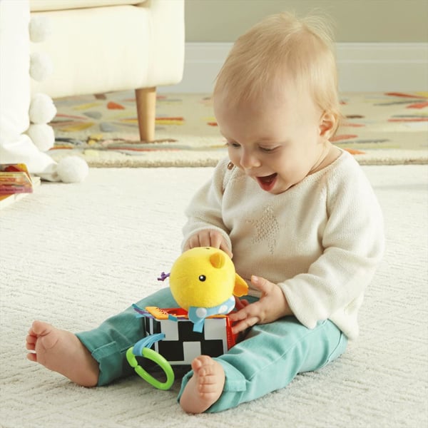Fisher-Price Everything Baby DFP95 utbildningsleksaker