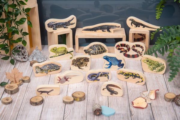 Tickit Wooden Reptile & Amphibian Blocks