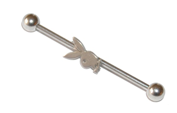 Industrial Barbells Kanin