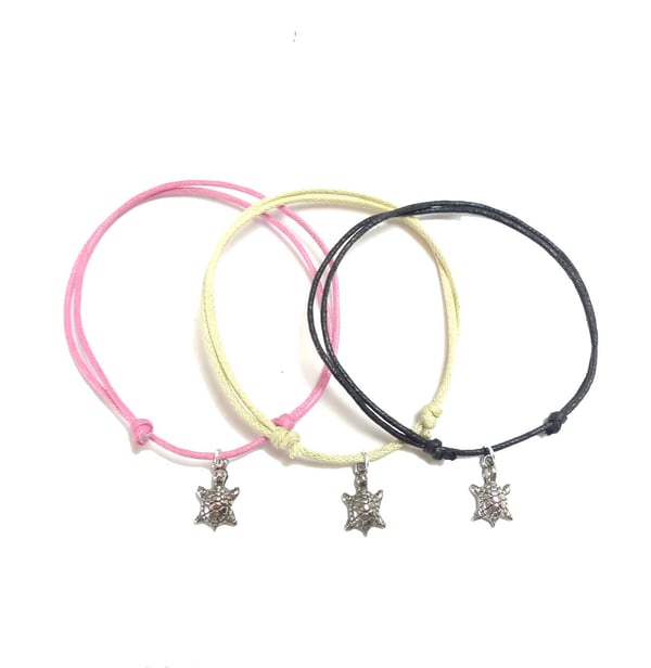 Fotband med Sköldpadda 3-pack