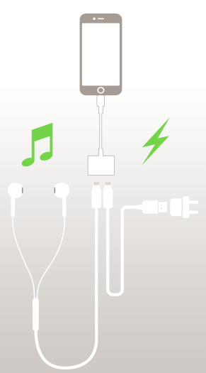 2 in 1 iPhone 7/8/X Dual Lightning Adapter / Splitter