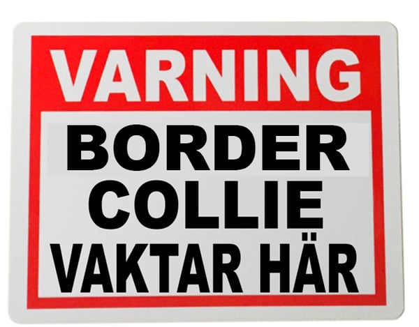 Metall plåtskylt Border collie design 20x15cm varning skylt