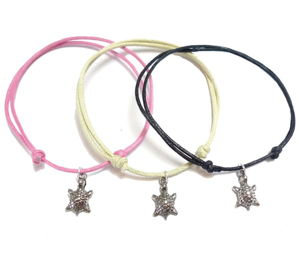 Fotband med Sköldpadda 3-pack