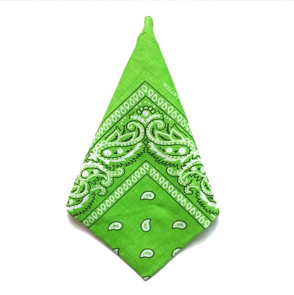 Bandana Paisleymönster