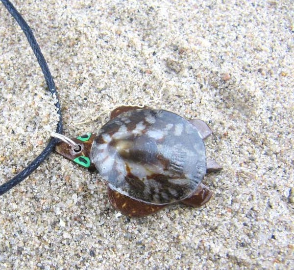 Halsband Sköldpadda
