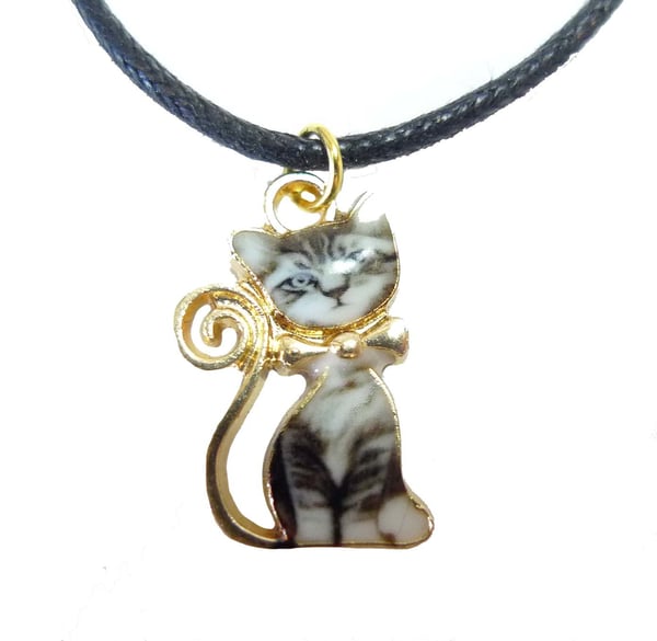 Katthalsband Guldpläterat