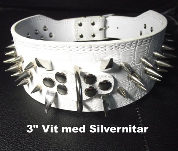 Hund halsband 3" vit med nitar 54-62cm Hund halsband 3" vit med nitar 54-62cm