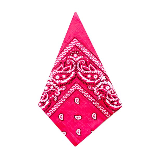 Bandana Paisleymönster