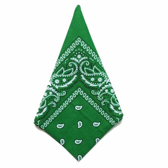 Bandana Paisleymönster