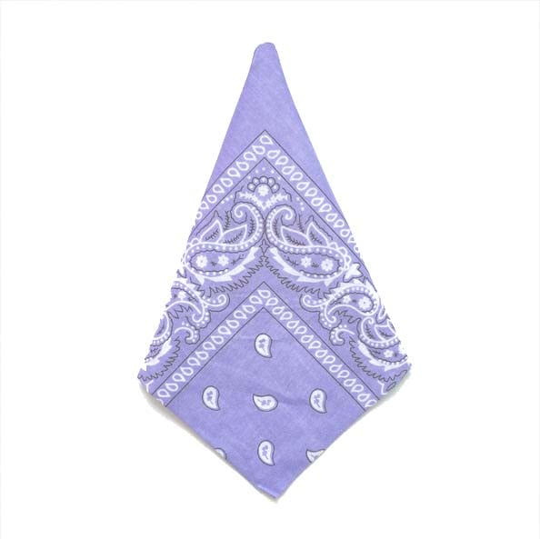 Bandana Paisleymönster
