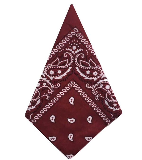 Bandana Paisleymönster