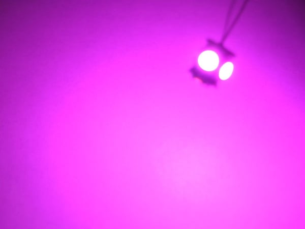 T10 w5w pinkit LED-polttimot, joissa 5 kpl 5050SMD-sirua, 12V DC, 4 kpl pakkaus.