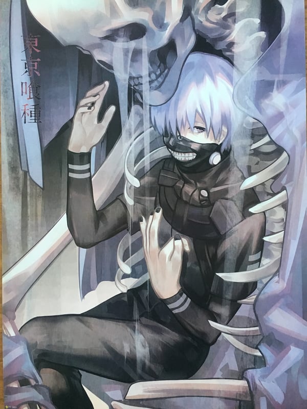 Manga - Tokyo Ghoul 2 Manga - Tokyo Ghoul 2