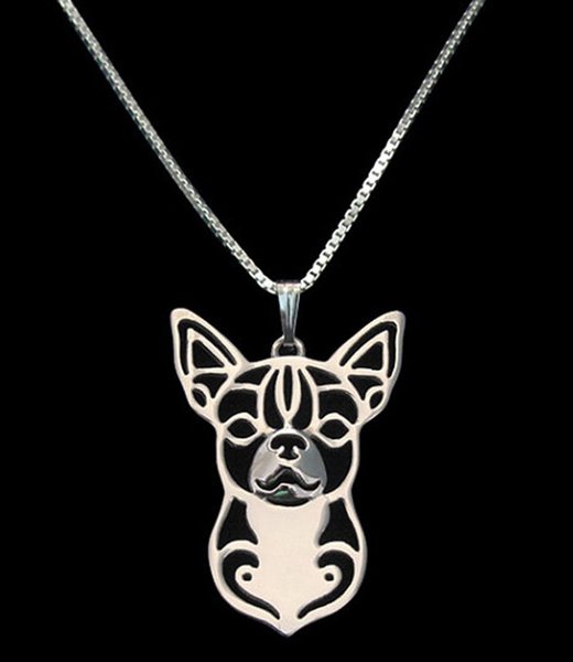 Halsband Chihuahua Hund Djurälskare Dog Hundras