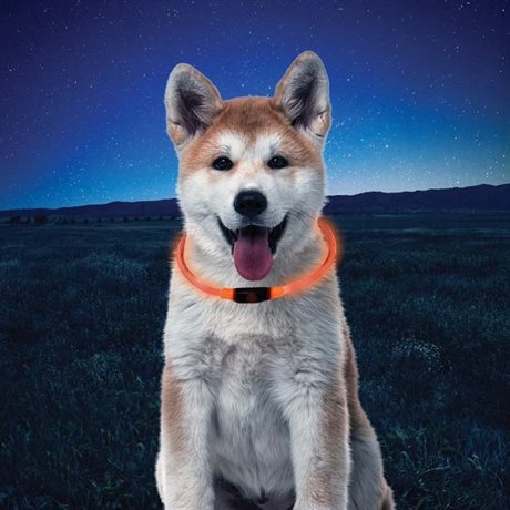 NITE IZE NITEHOWL LED SAFTY NECKLACE L, hundhalsband med ledbelysning