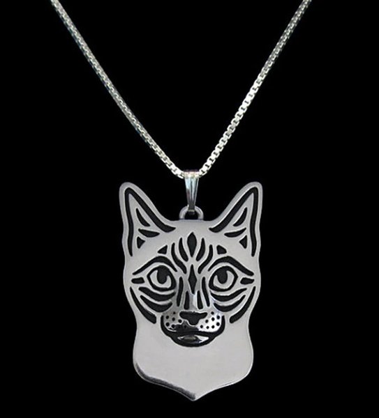 Halsband Siames Katt Djurälskare