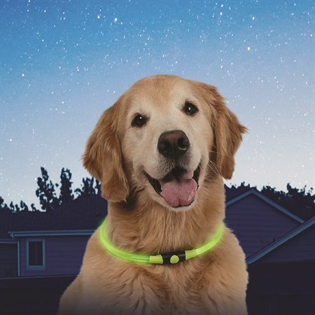hundhalsband med ledbelysning NITE IZE NITEHOWL LED SAFTY NECKLACE green