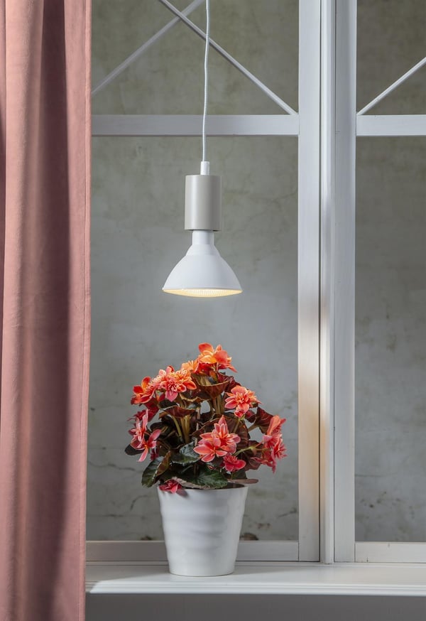 Kasvilamppu Trivas LED 16W E27 - Sopii ylläpitovalaistukseksi