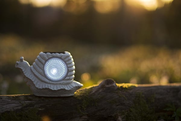 Aurinkokennokoriste Etana
