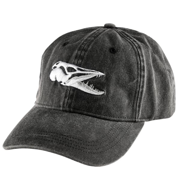 IFISH Keps Scull Black