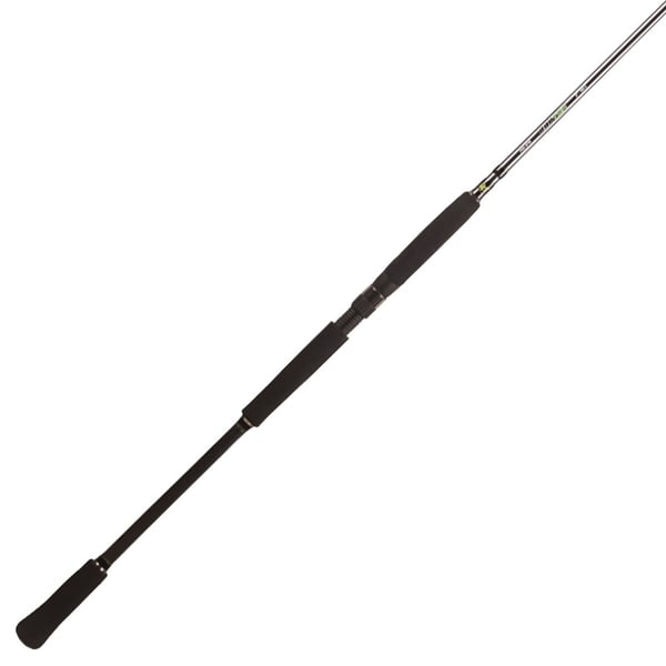 BFT Raptor G2 Pike Spin 8' -100g - 2pcs Haspel BFT Raptor G2 Pike Spin 8' -100g - 2pcs Haspel