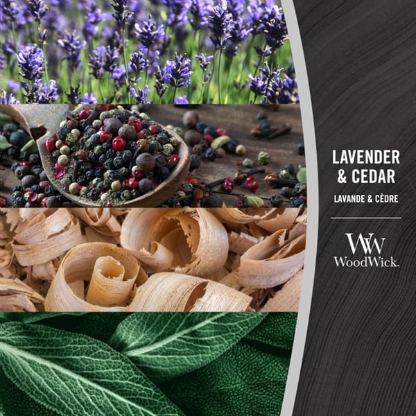 WoodWick Medium - Lavender & Cedar