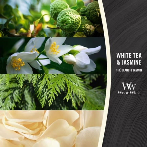 WoodWick Large - White Tea & Jasmine