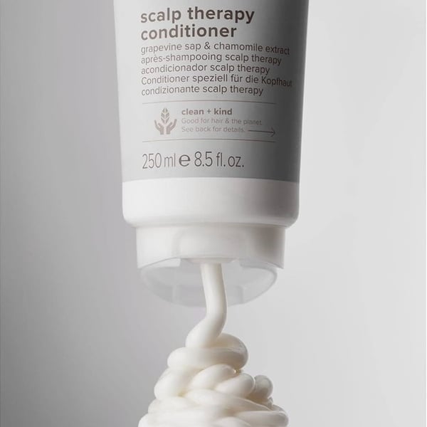 Paul Mitchell Clean Beauty Scalp Therapy Conditioner 250ml