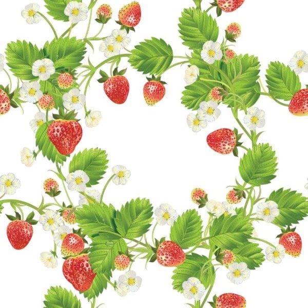Kaffeservetter Jordgubbar/Blad 25x25cm 20-pack Kaffeservetter Jordgubbar/Blad 25x25cm 20-pack