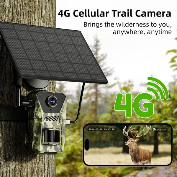 Solar 4G Trail Camera Vandtæt PIR Night Vision HD Jagtkamera