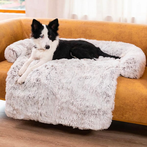Sovesofa for hunder - Hvit