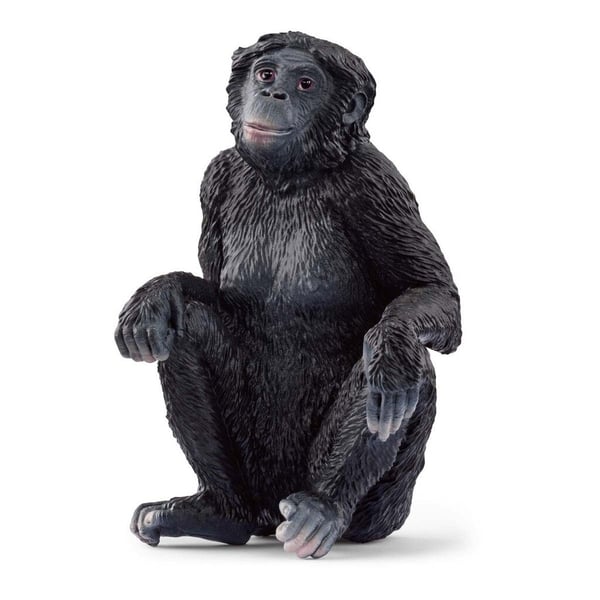 schleich® WILD LIFE Bonobo kvinde 14875