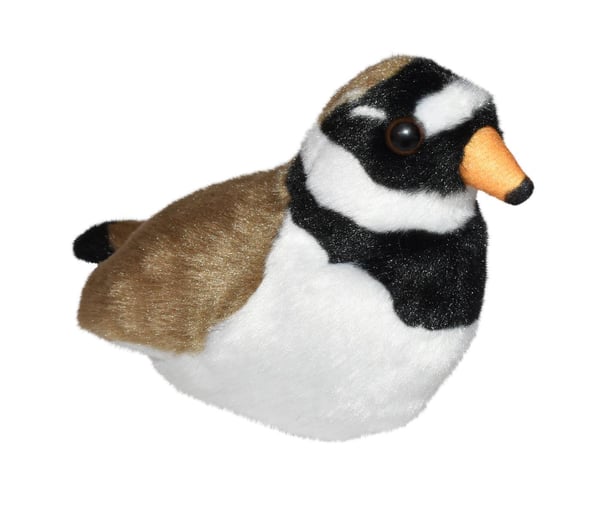 Wild Republic Lintu Äänellä, Töyhtöhyyppä