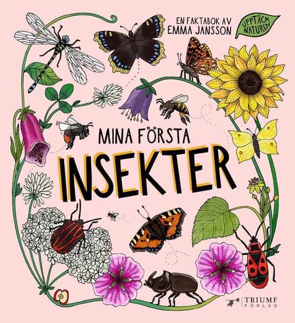 Ensimmäiset hyönteiset Tietokirja