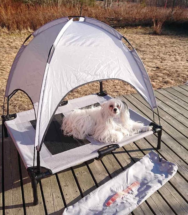 Hundeseng, Hundeseng, Solbeskyttelse - Hundehus