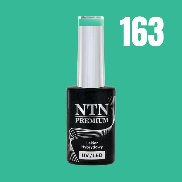 NTN Premium - Gelelakk - Celebration - Nr163 - 5g UV gel/LED
