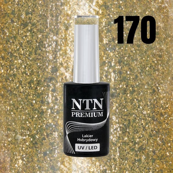 NTN Premium - Gelelakk - Celebration - Nr170 - 5g UV gel/LED