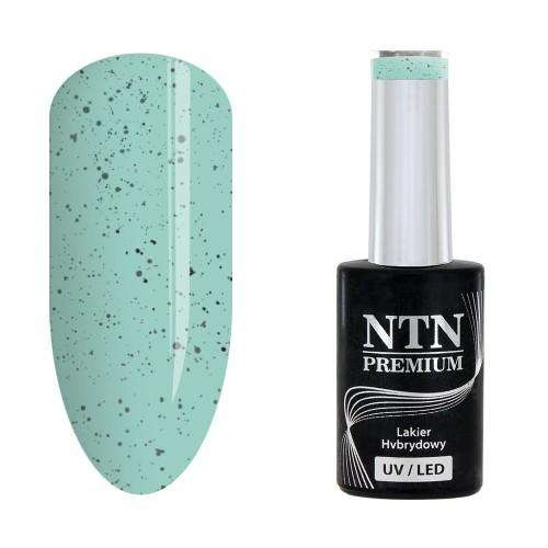 NTN Premium - Gel polish - Sugar Puff - Nr183 - 5g UV gel/LED