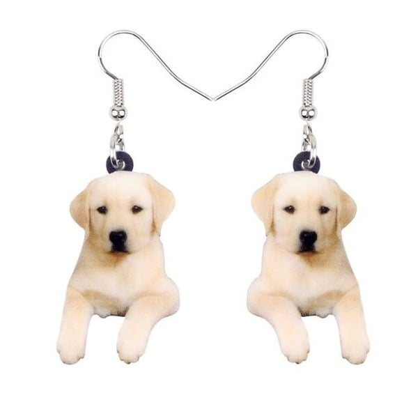 Örhängen Labrador Hundras Golden Retriver Djur