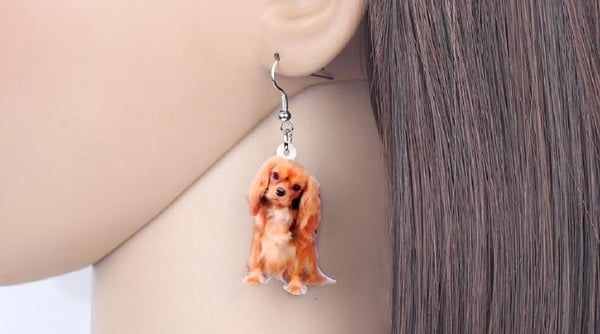 Örhängen King Charles Spaniel Hundras Cavalier Djur
