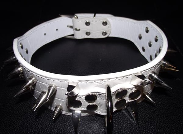 Hund halsband 2" vitt med nitar 39-47cm Hund halsband 2" vitt med nitar 39-47cm