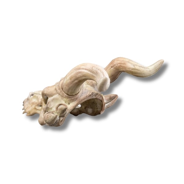 Bone Trophy Hårnål