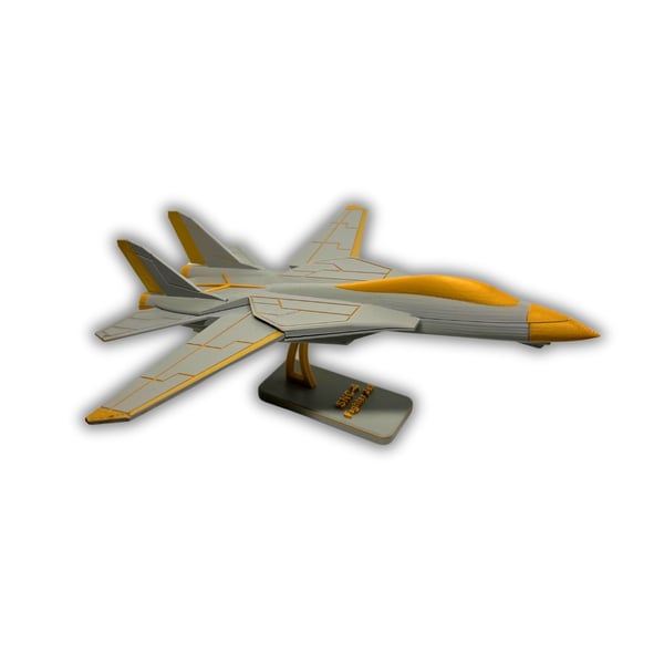 F-14 Tomcat SNC-4 jagerfly-display gjør det selv