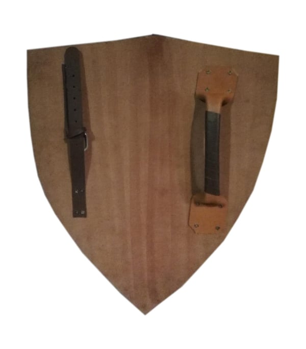 Wooden Medieval Rampant Lion Viking Curved Shield SWE83