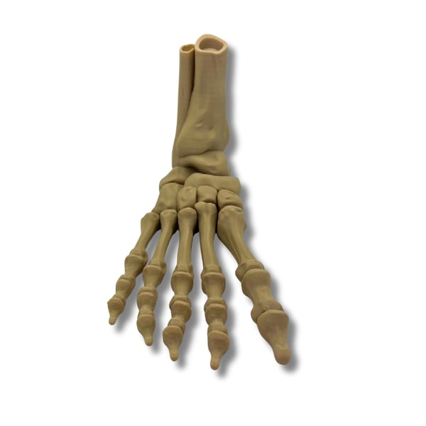 Skeletfod halloween dekorationslegetøj 25 cm