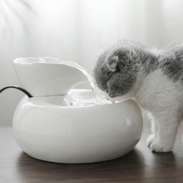 White Water Fountain / Drinking Fountain For Pets - Keramikk