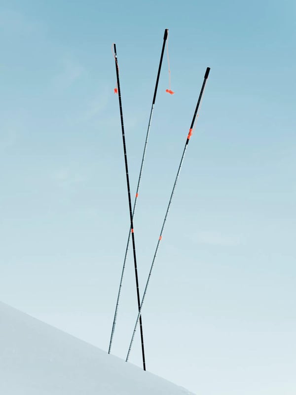 MAMMUT BARRYVOX PACKAGE PRO LIGHT LAVINPAKET (tranceiver, spade, sond)