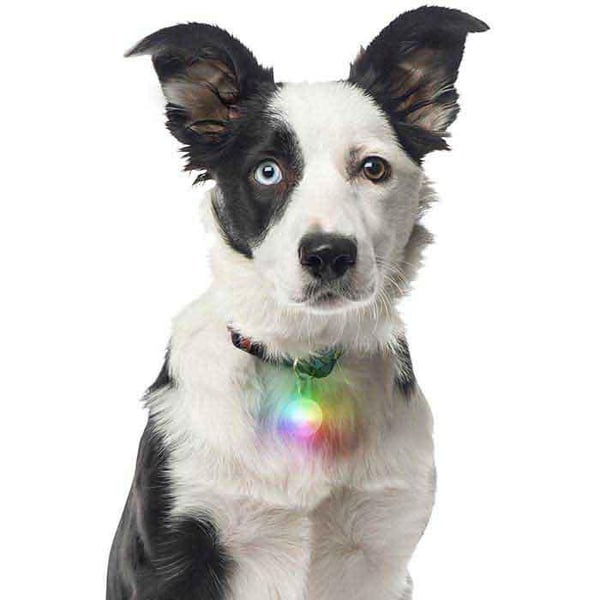 NITE IZE SPOTLIT LED CARBINER DISCO, mini led för hundhalsband, led nyckelring