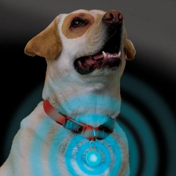 NITE IZE SPOTLIT LED CARBINER WHITE, mini led för hundhalsband, led nyckelring