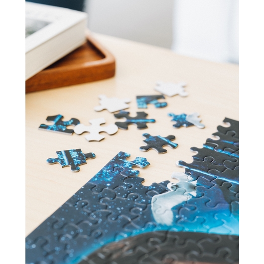 Pussel - HARRY POTTER AND THE PHILOSOPHER'S STONE 500 PIECES